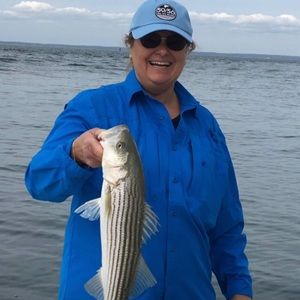 Meet your Posher, Robin